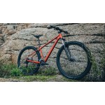 CUBE ΠΟΔΗΛΑΤΟ ΒΟΥΝΟΥ MTB AIM ONE 29" sundowner 'n' black  2026