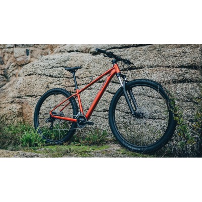 CUBE ΠΟΔΗΛΑΤΟ ΒΟΥΝΟΥ MTB AIM ONE 29" sundowner 'n' black  2026